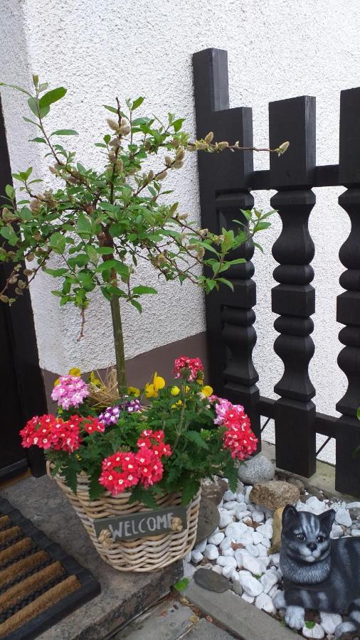 Ferienwohnung Am Steinbachtal Thale Exterior foto
